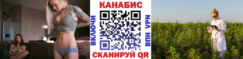 Бошки Шишки план  продажа наркотиков  Славянск-на-Кубани 